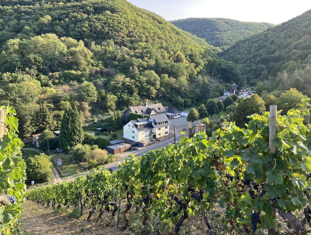Roosartige Ferien - Ferienwohnung Am Weiherturm Bacharach Exteriör bild