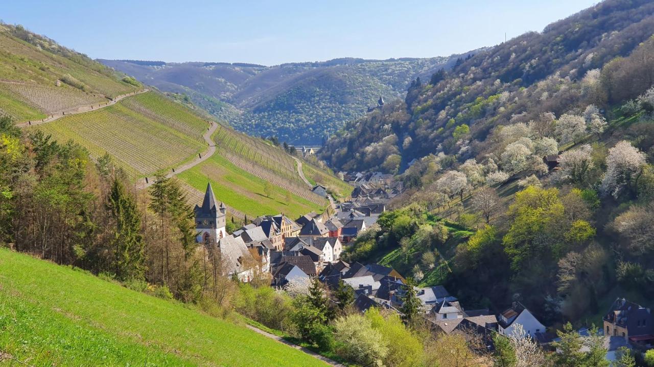 Roosartige Ferien - Ferienwohnung Am Weiherturm Bacharach Exteriör bild